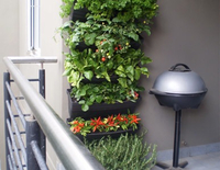 Permascape Design Solutions Vertical Gardens 